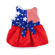 Picture of Americana Flag Dress