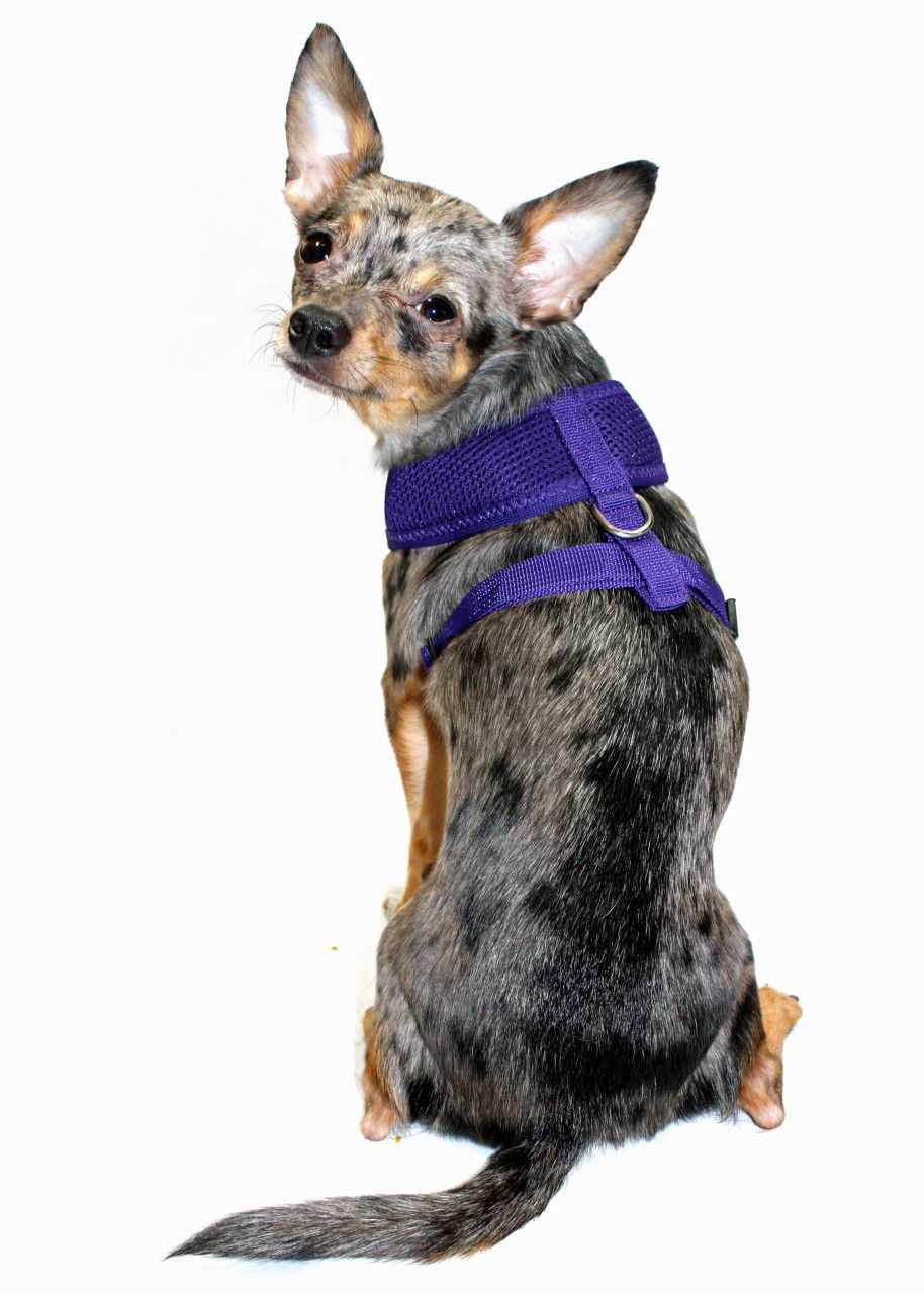 Picture of OLD STYLE - Ultra Comfort Purple Mesh Harness Vest