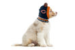 Picture of NFL Knit Pet Hat - Bears