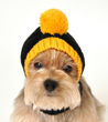 Picture of NFL Knit Pet Hat - Steelers