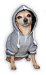Picture of NFL Team Hoodie - Lions