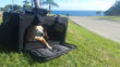 Picture of Hemp Eco Pet Carrier