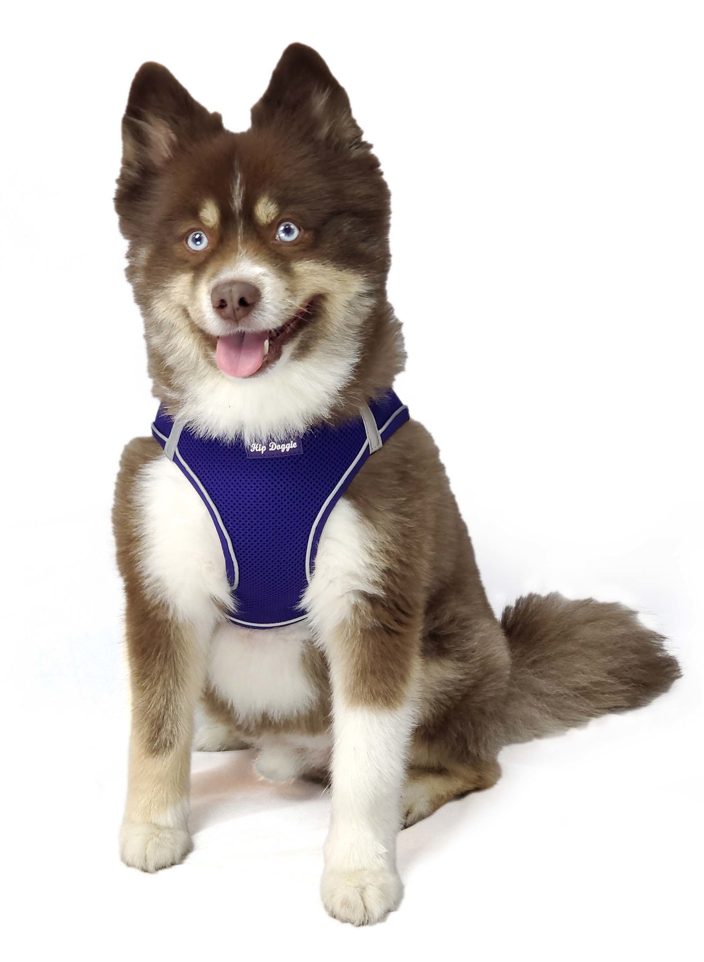 Picture of EZ Step-In Harness Vest - Purple