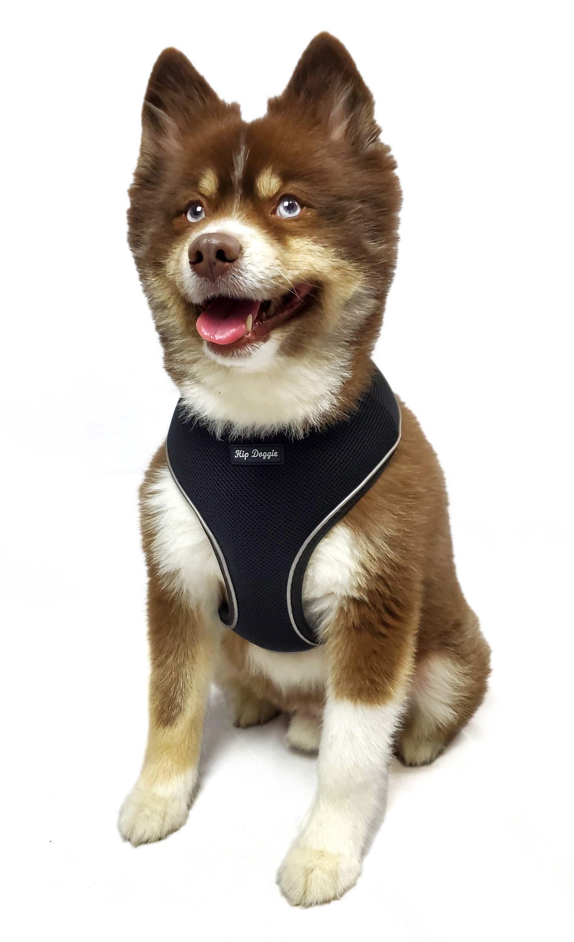 Picture of Ultra Comfort Reflective Harness - Black