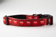 Picture of Adjustable Collar Hearts