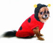 Picture of Chenille Lady Bug Hoodie