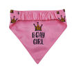 Picture of Two Sided Bandana - Birthday Girl