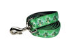 Picture of Leash  1" X 5' - Shamrock