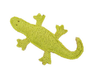 Picture of Loofah - Gecko