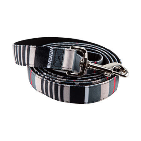 Picture of Leash   1" X 5' - Stripes