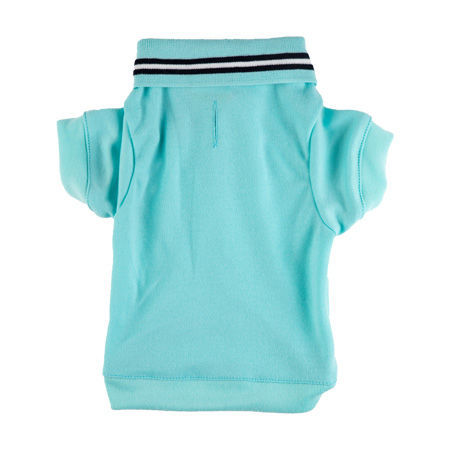 Picture of Turquoise Polo Shirt