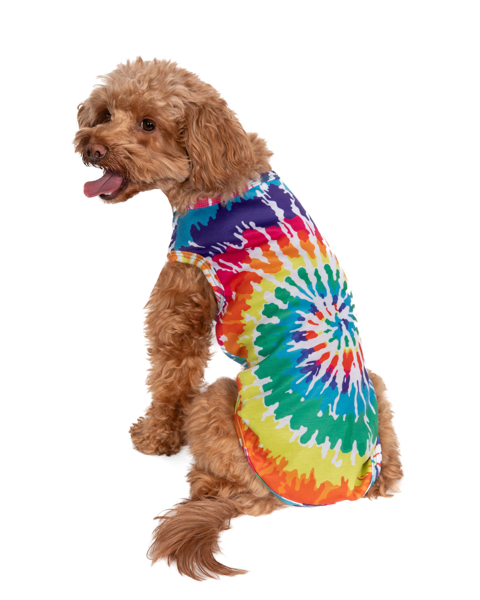 Picture of HD Rainbow Pride Tie-Dyed Tank