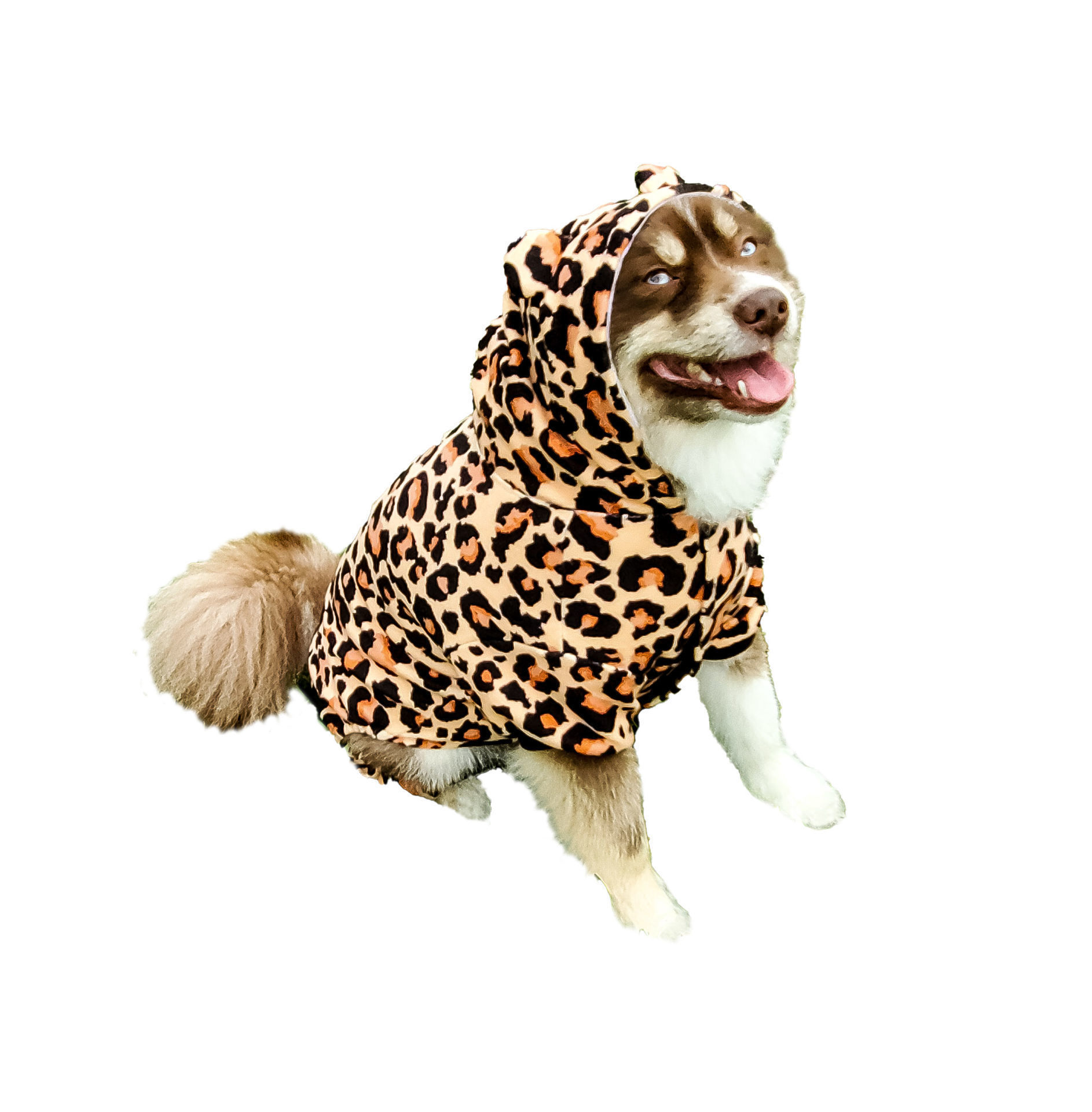Picture of Leopard Costume