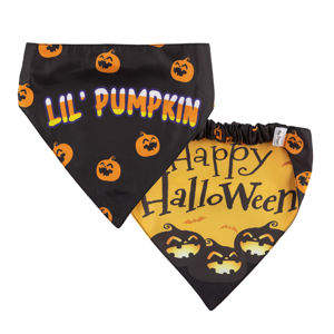 Picture of Two Sided Bandana - Lil Pumpkin