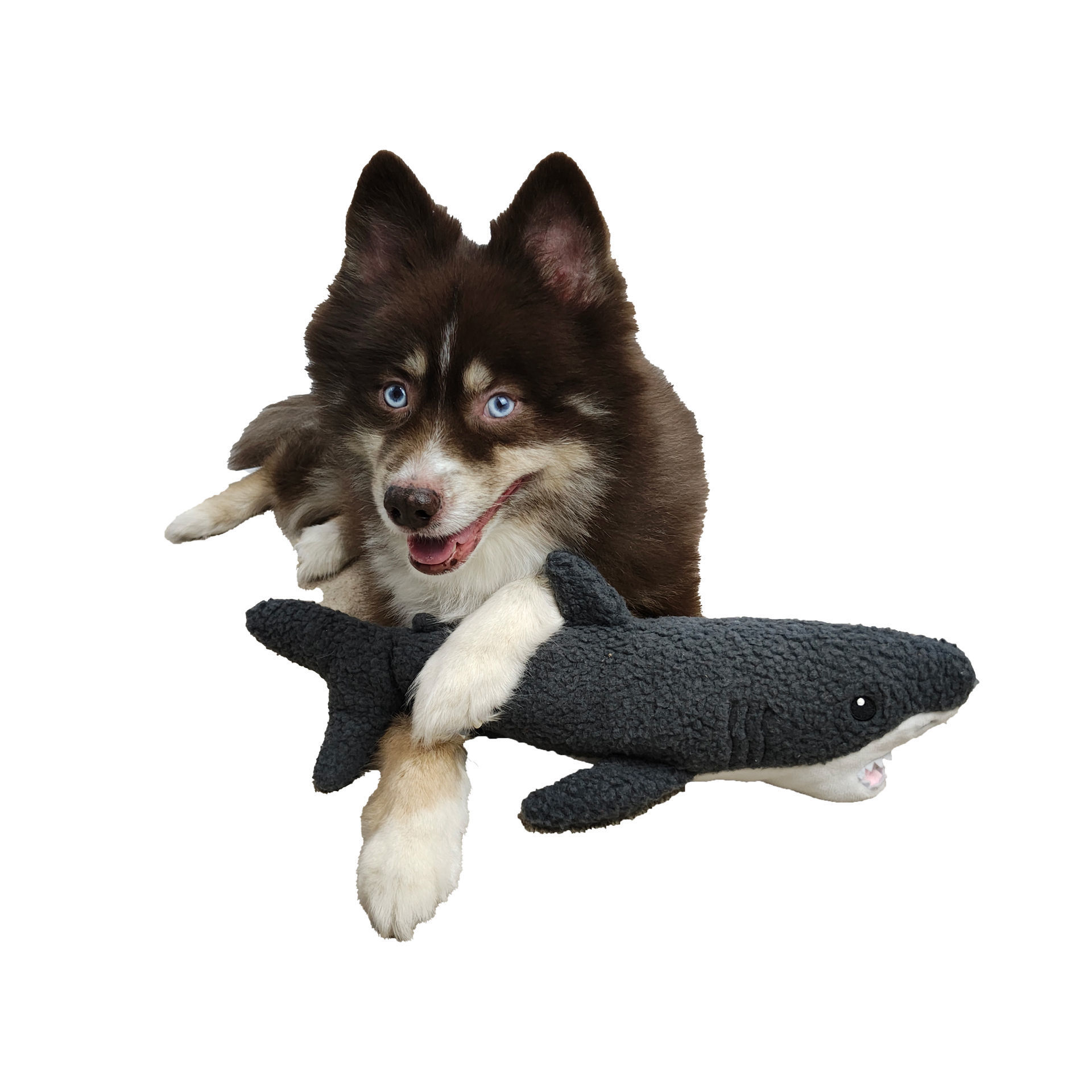 Picture of Fleece Toy - Gilly the Shark