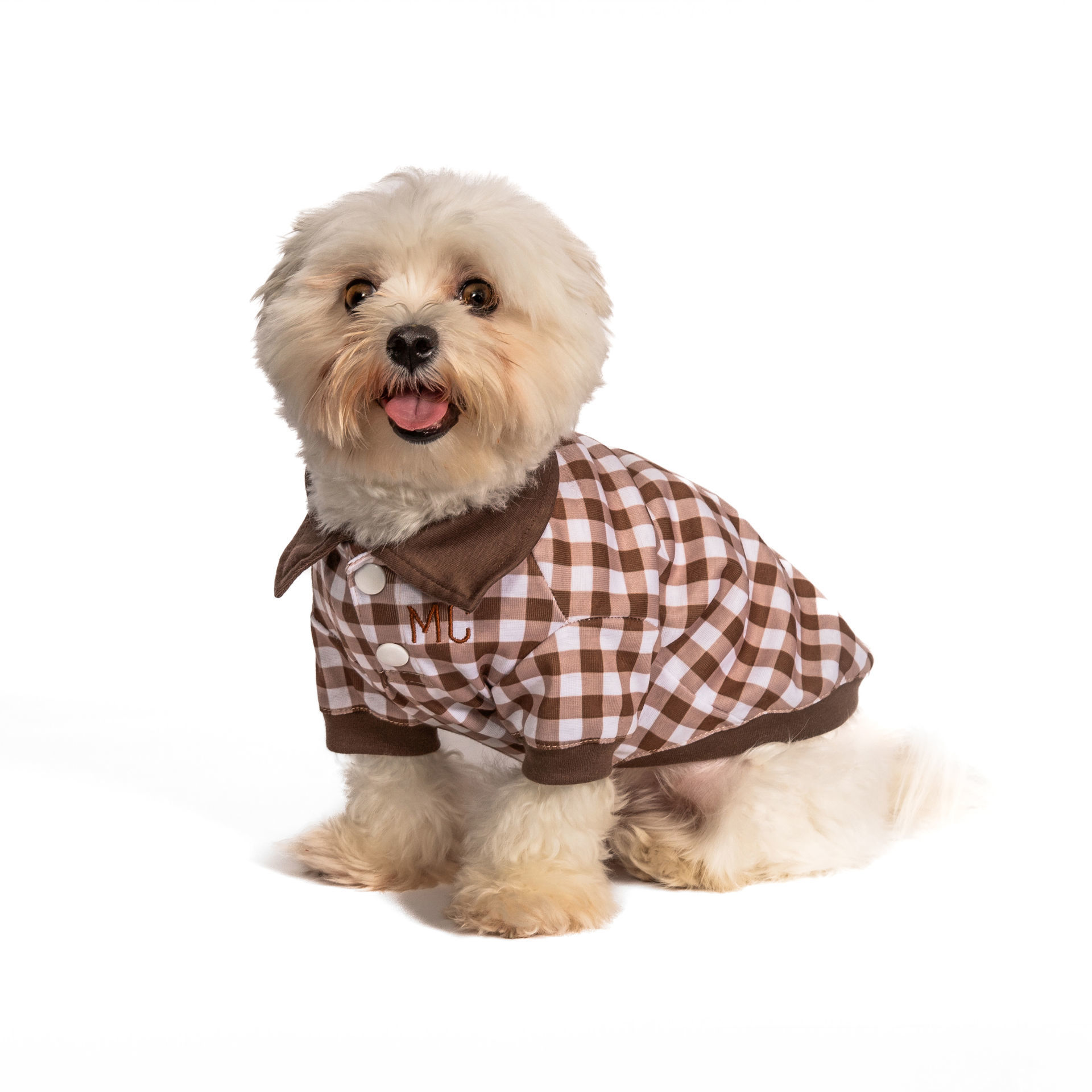 Picture of Brown Check Polo Shirt