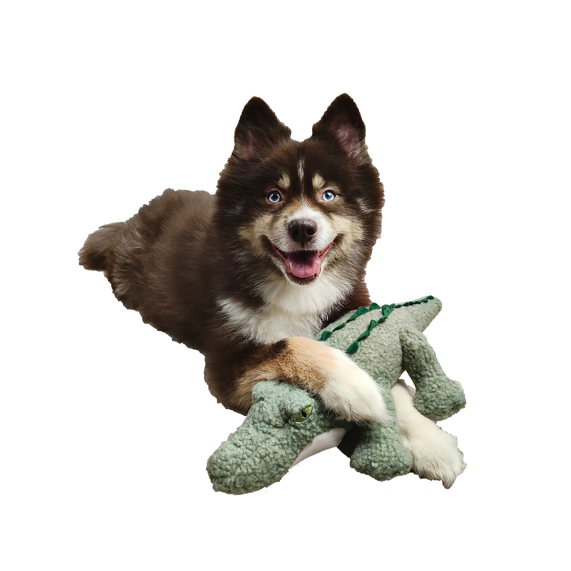 Picture of Wildlife Fleece Toy - Green Alligator