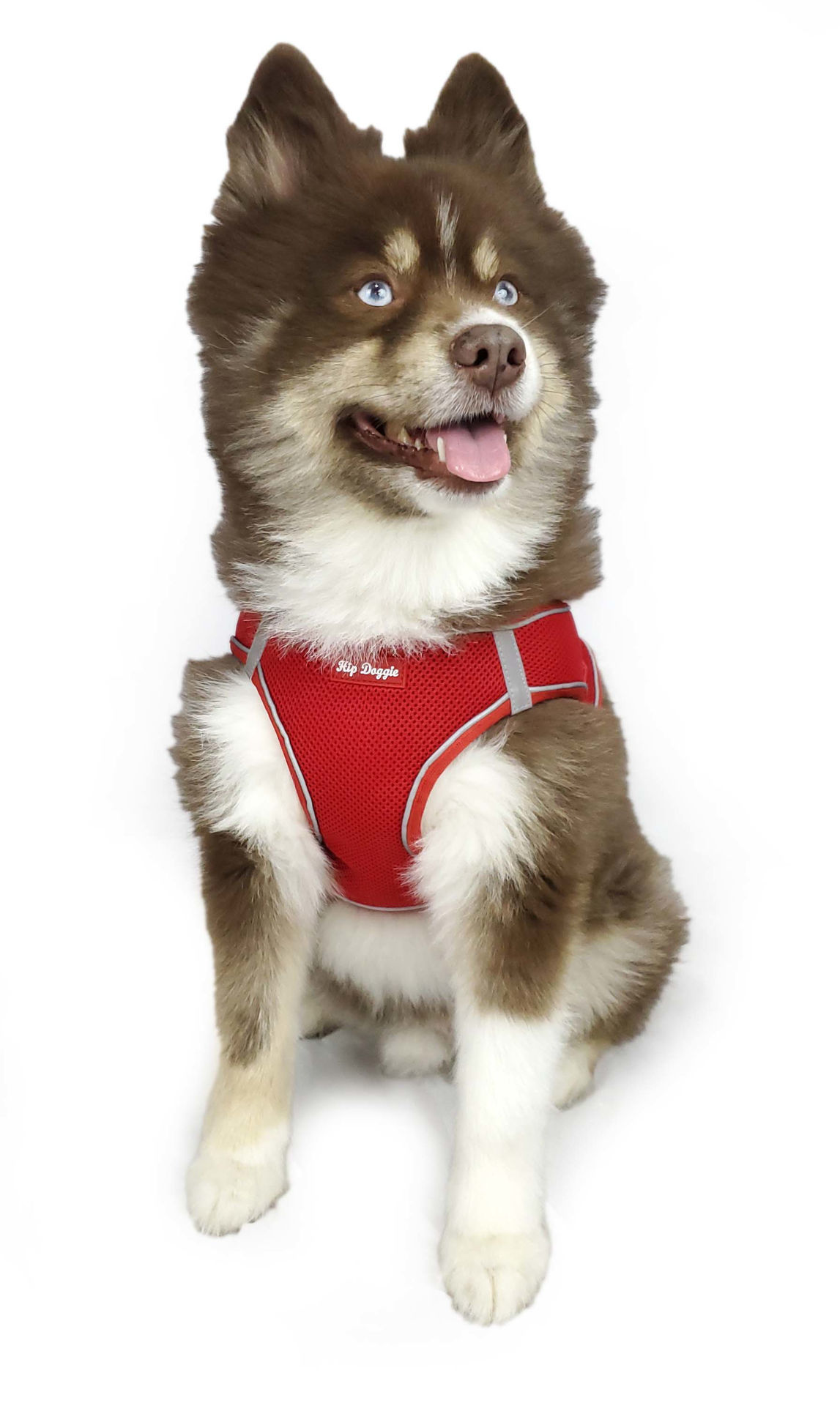 Picture of EZ Step-In Harness Vest - Red - Old Header