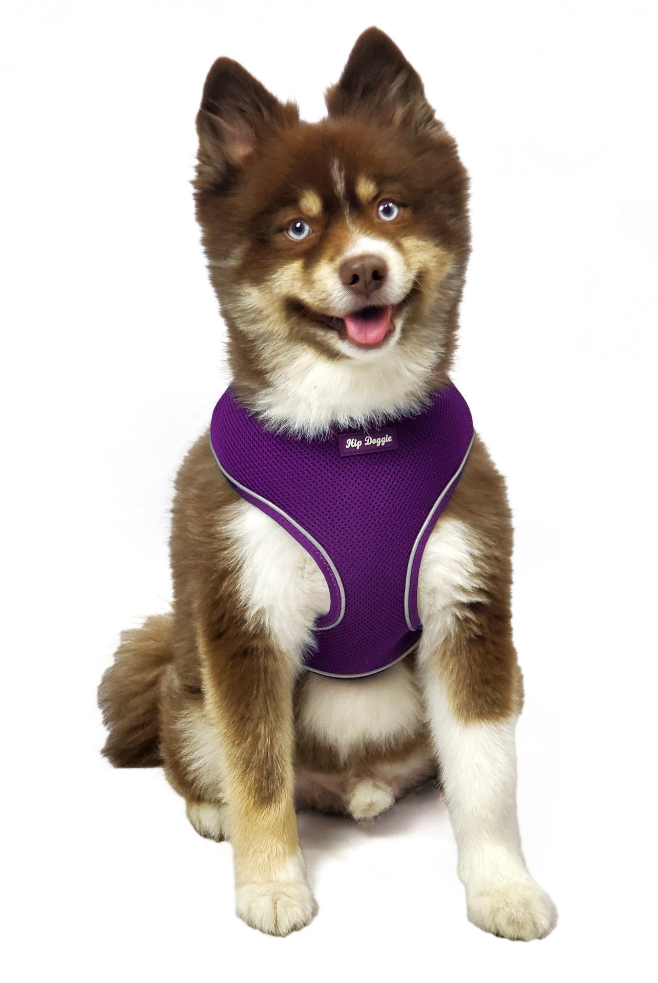 Picture of Ultra Comfort Reflective Harness Purple-Old Header