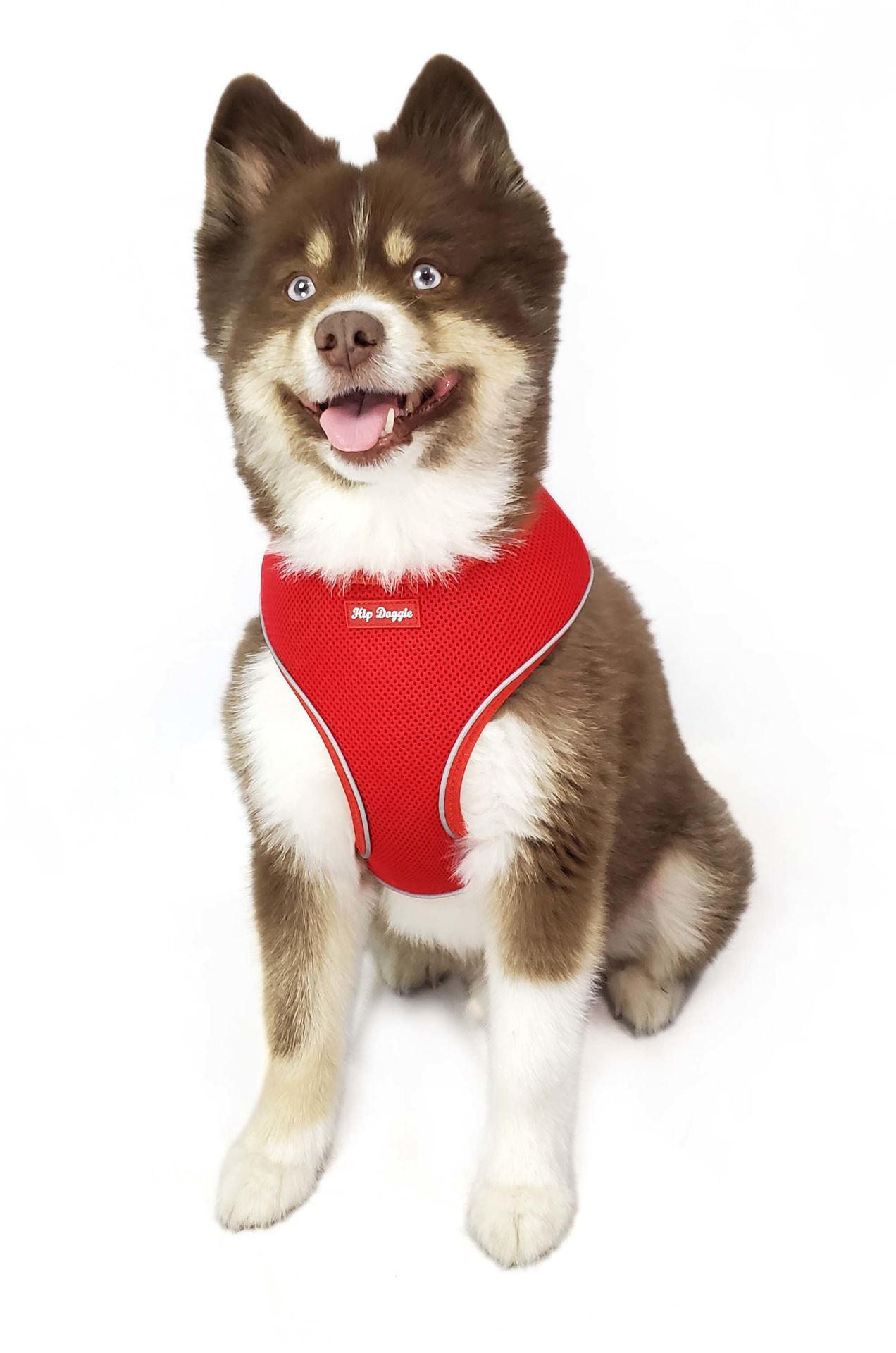 Picture of Ultra Comfort Reflective Harness Red - Old Header