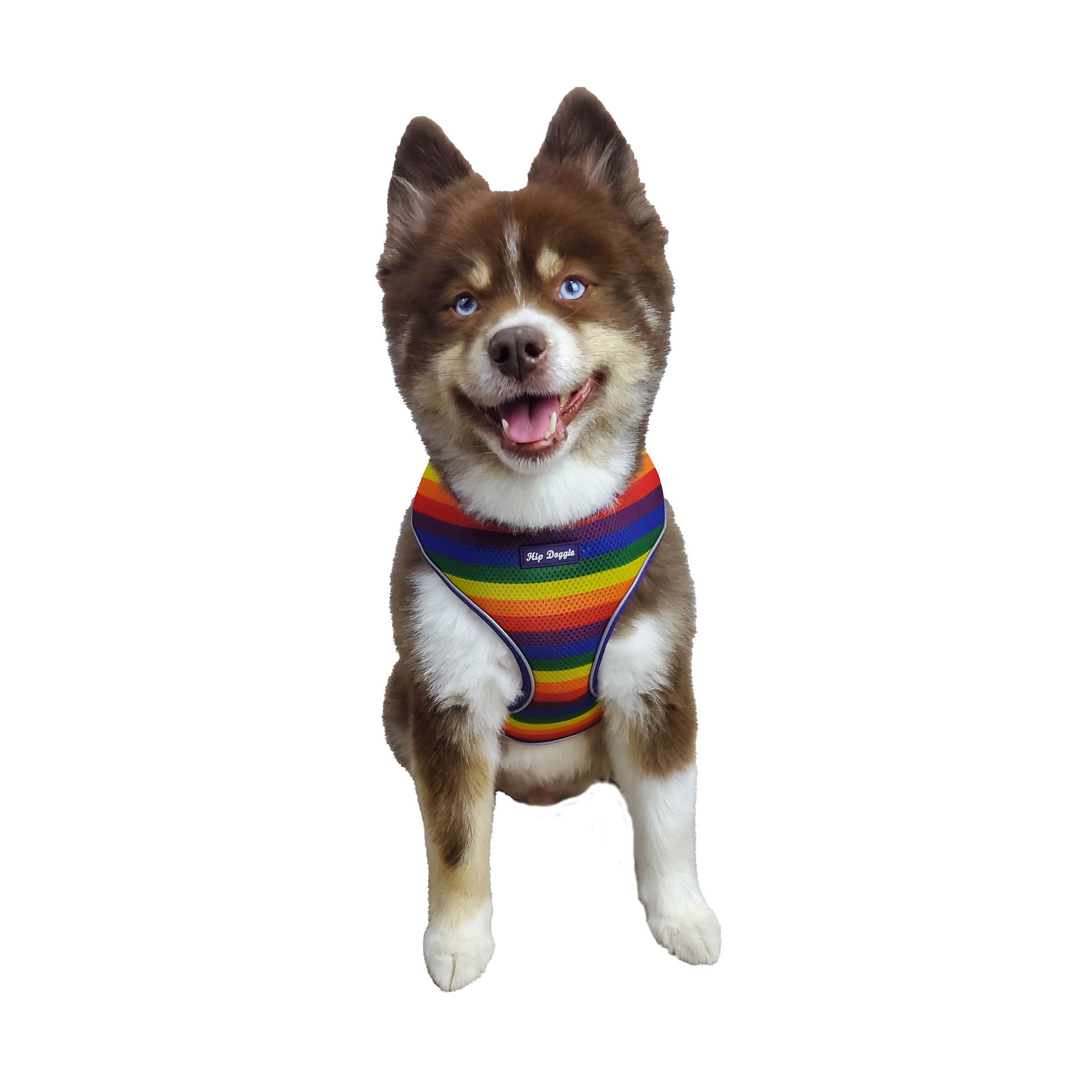 Picture of Ultra Comfort Harness - Rainbow Pride