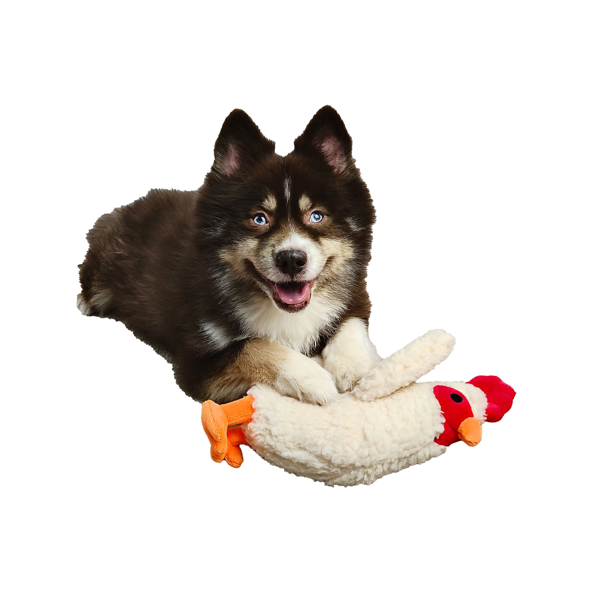 Picture of Fleece Toy - Chicken