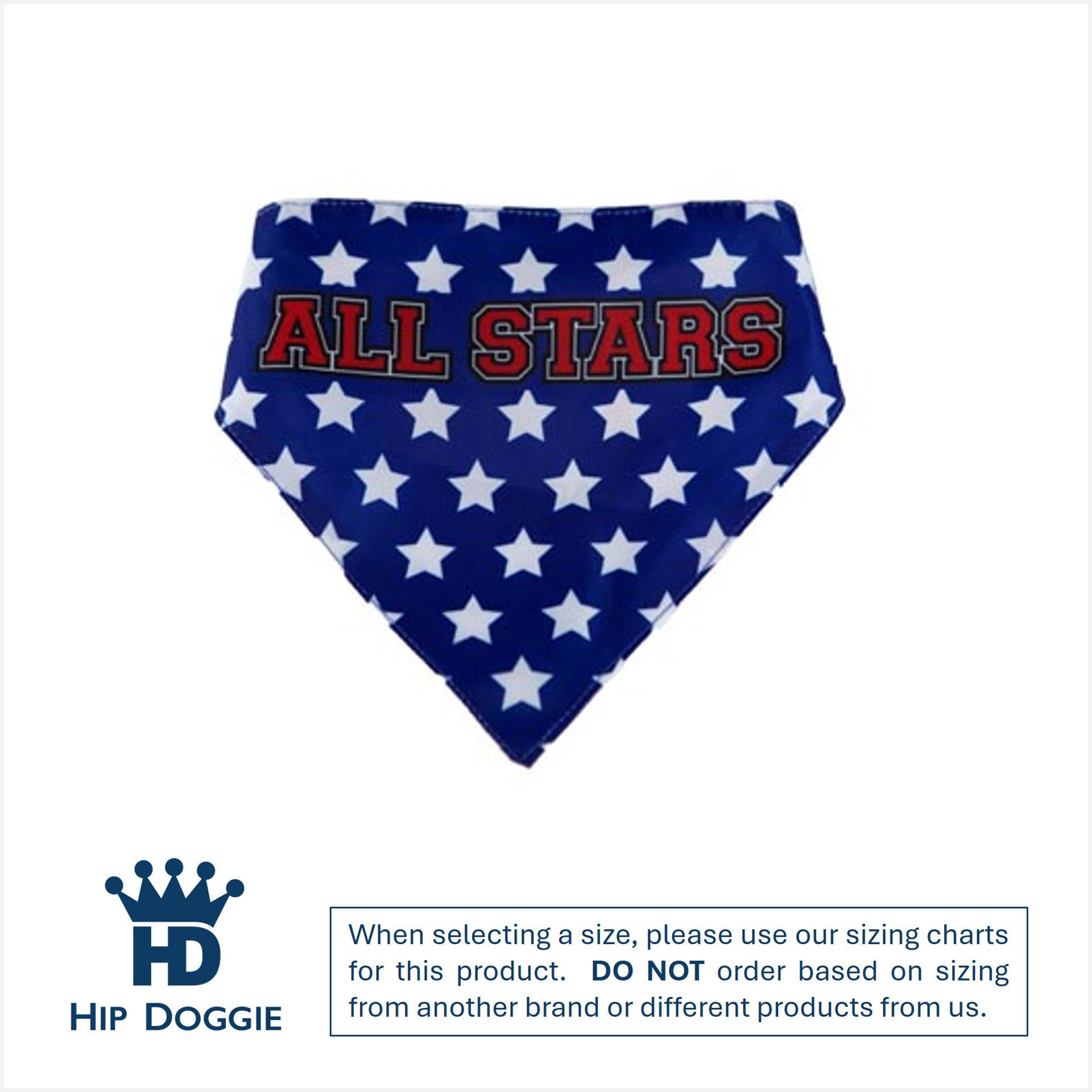Picture of Two Sided Bandana - USA
