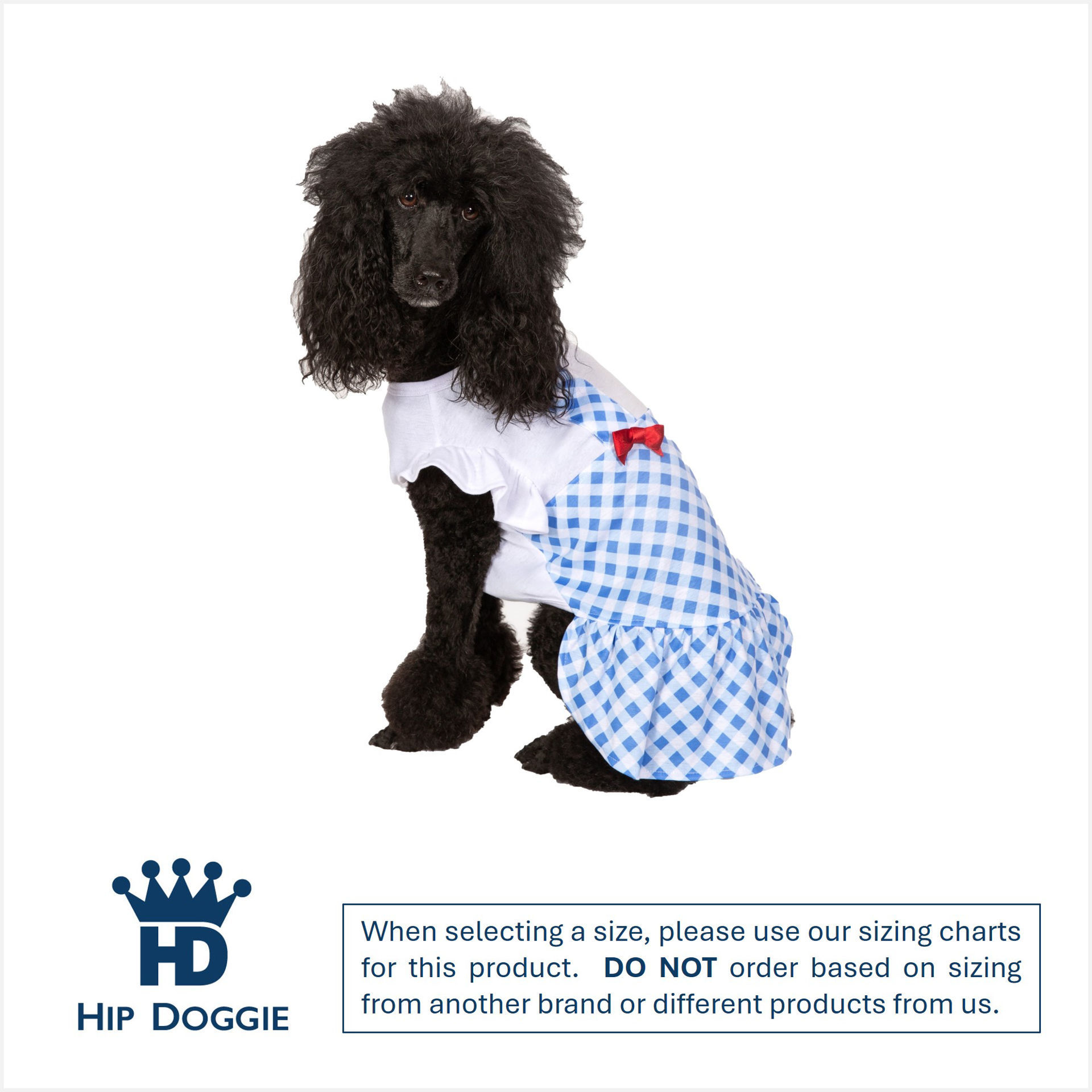 Picture of Blue Gingham Dress-Ruby Red Bows