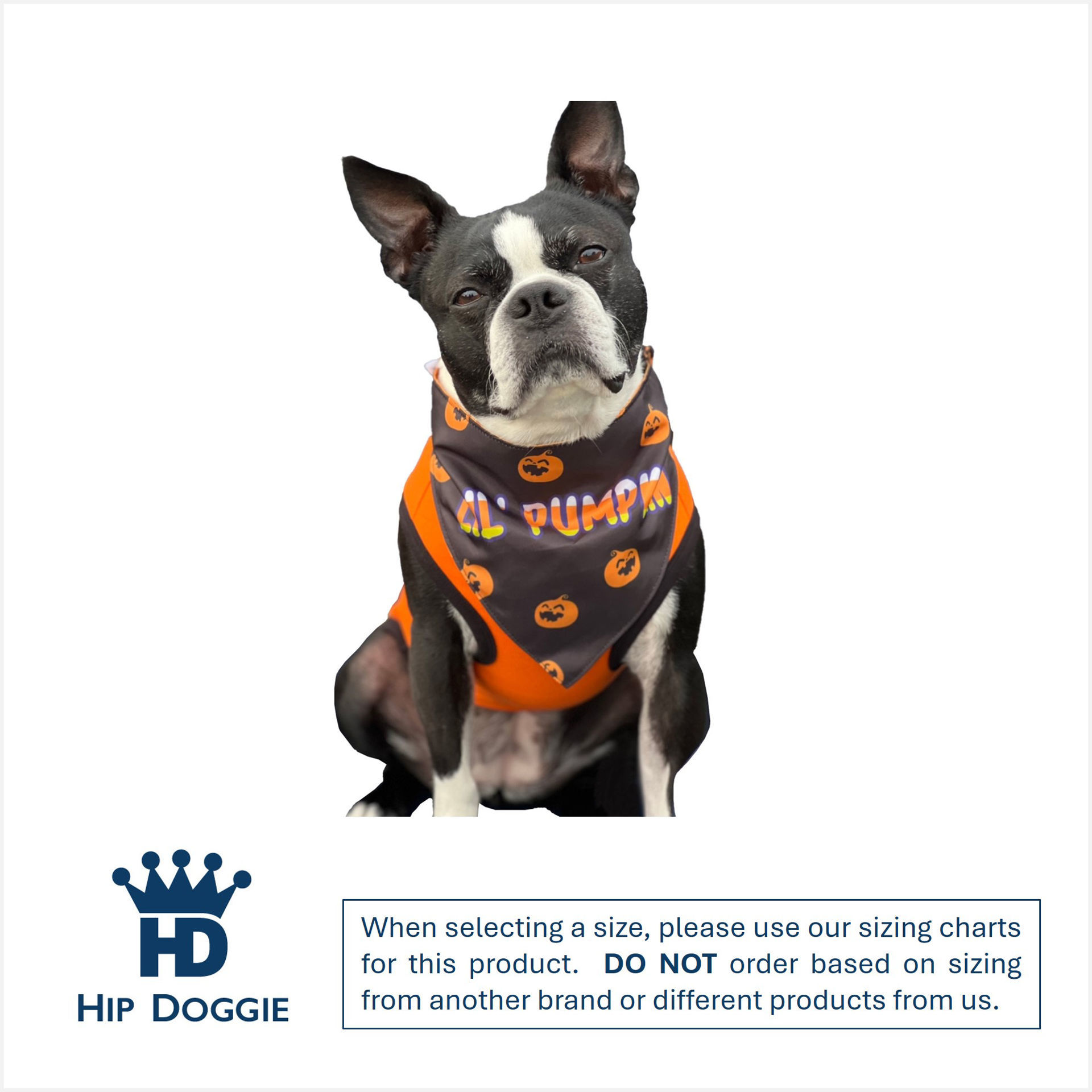 Picture of Two Sided Bandana - Lil Pumpkin