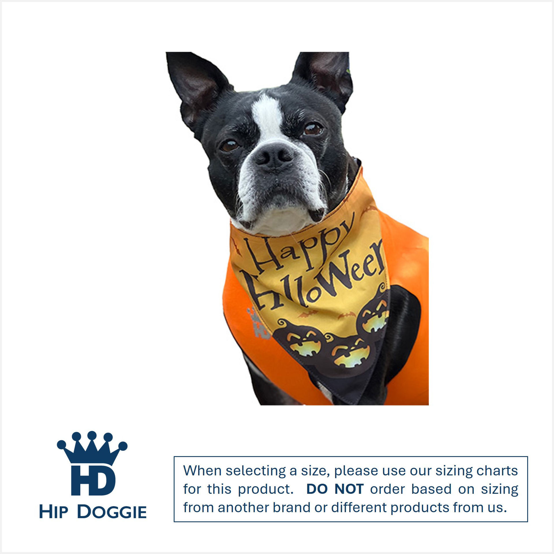 Picture of Two Sided Bandana - Lil Pumpkin