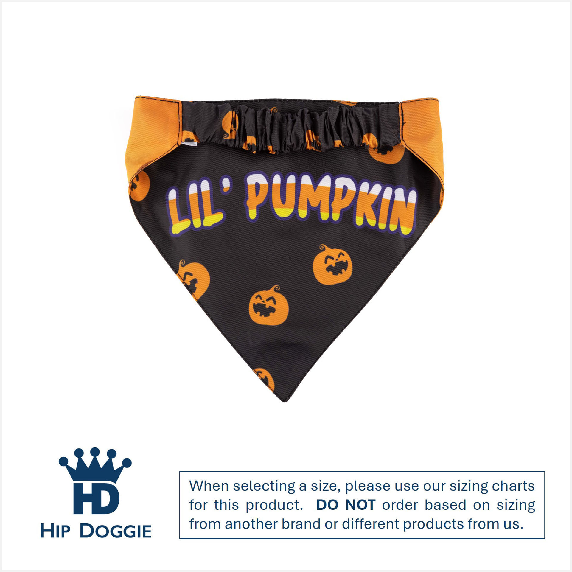 Picture of Two Sided Bandana - Lil Pumpkin