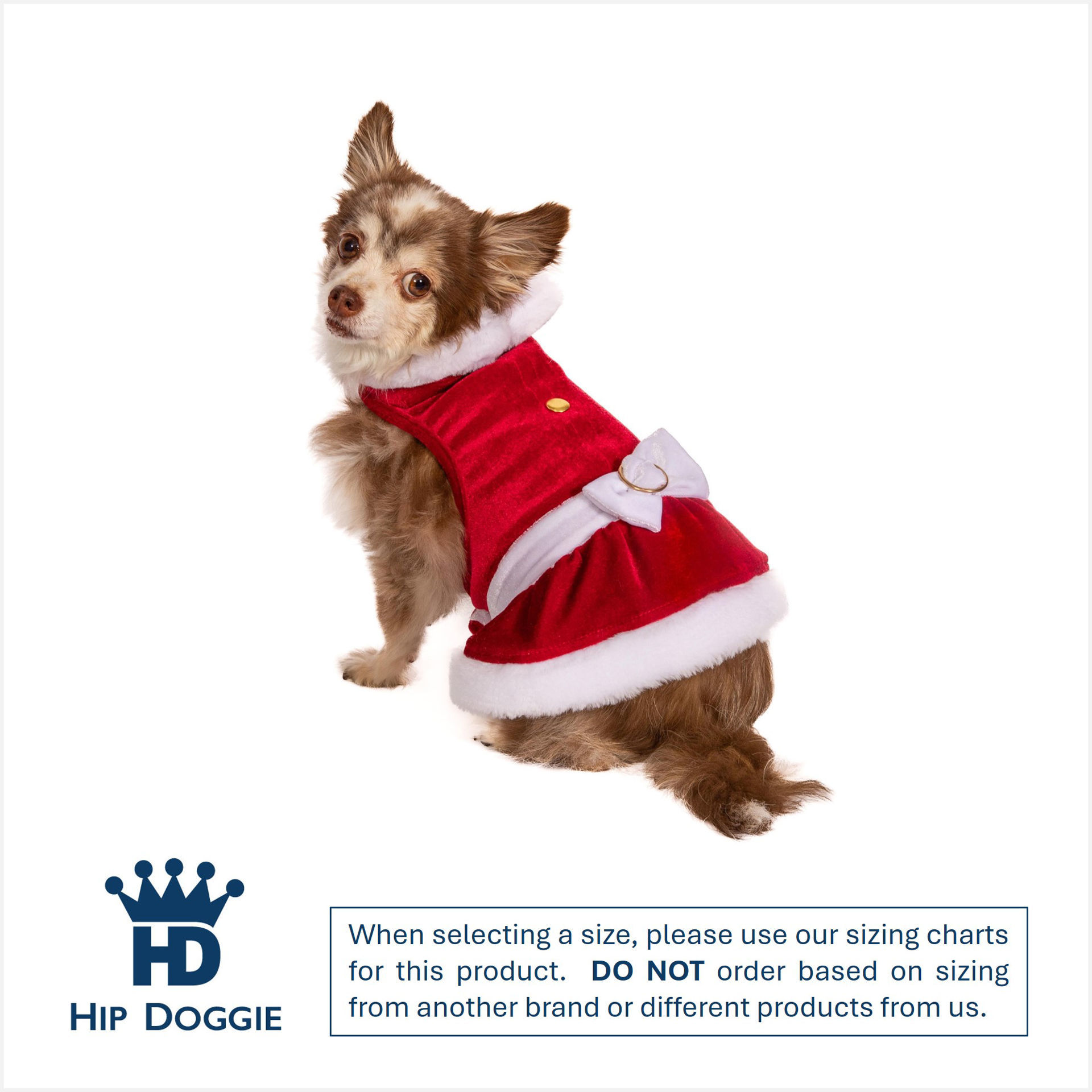 Picture of Mrs. Claus Dress
