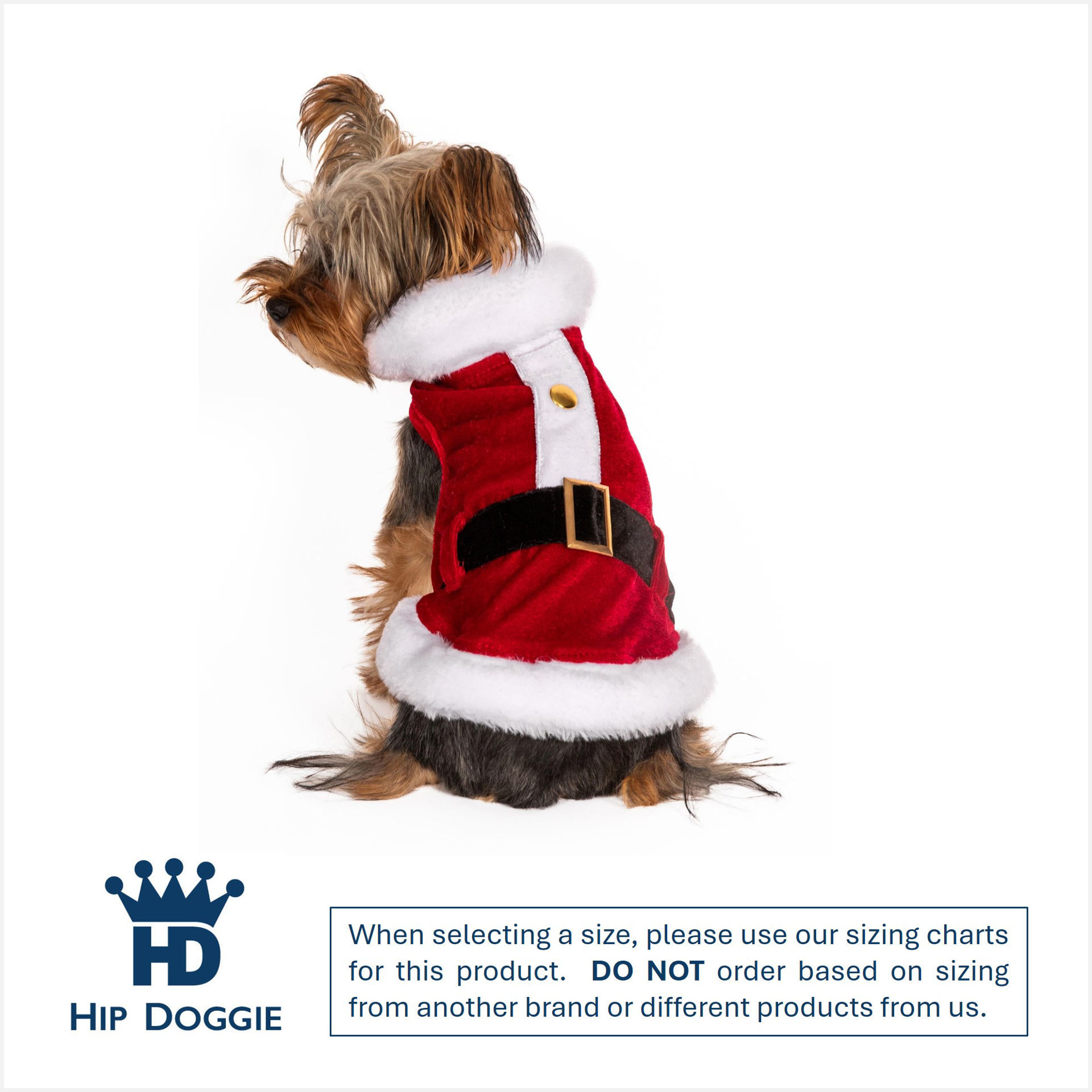 Picture of Santa Claus Coat