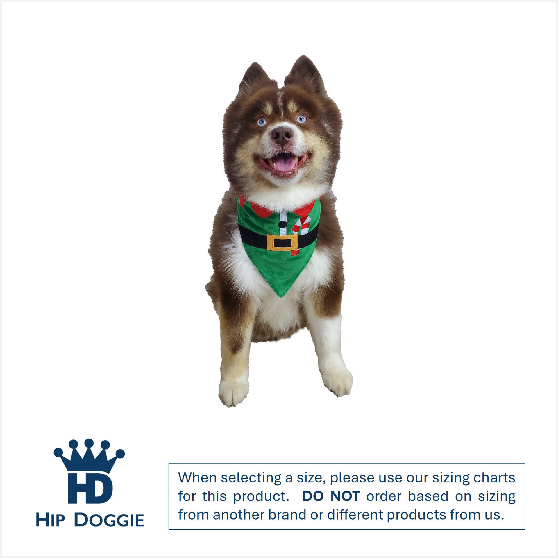 Picture of Two Sided Bandana – Elf