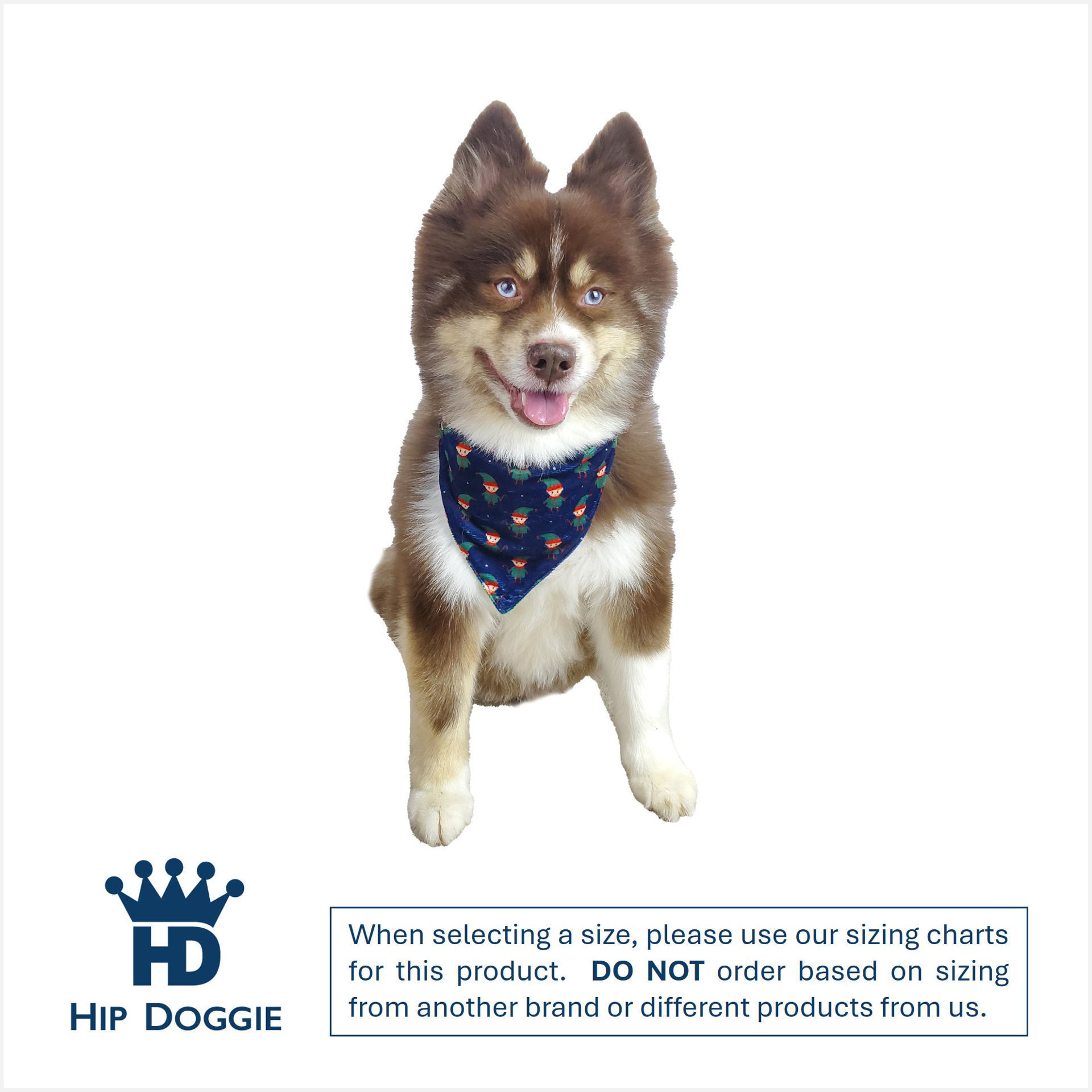 Picture of Two Sided Bandana – Elf