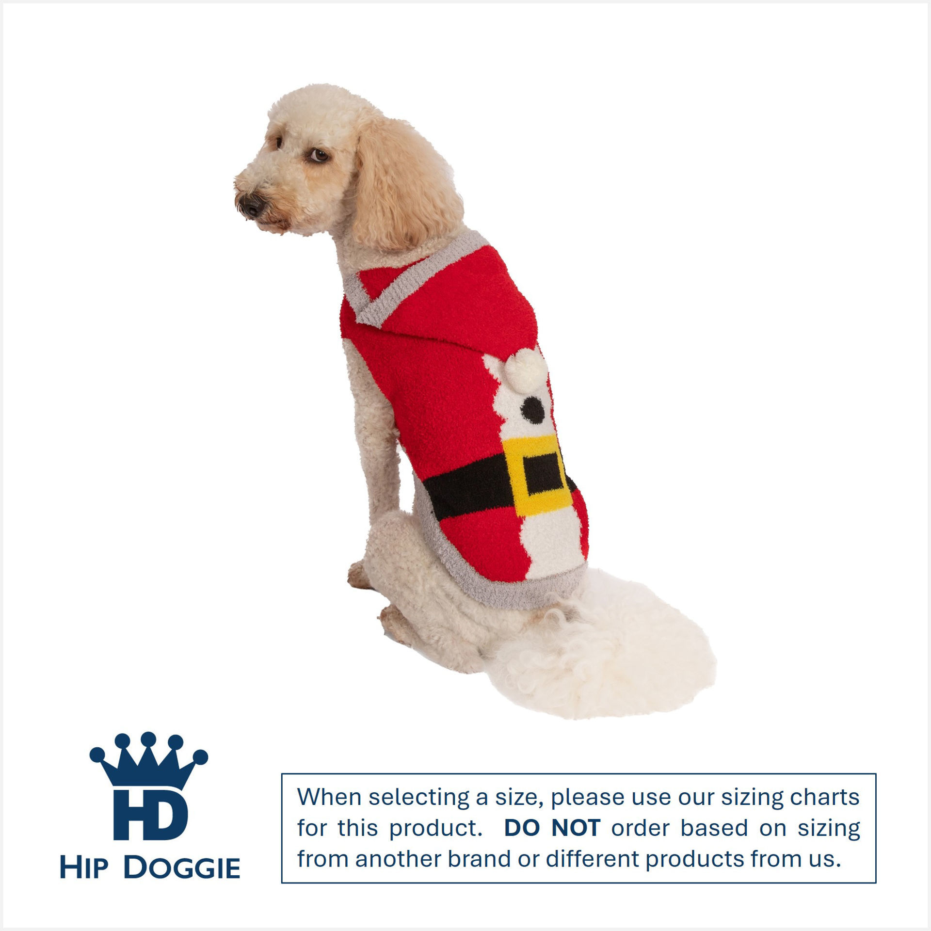 Picture of Chenille Santa Hoodie
